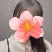 ヒメ日記 2025/04/11 18:03 投稿 まどか Profile～プロフィール～（那覇）