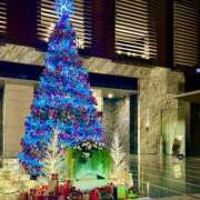 ヒメ日記 2025/12/08 14:10 投稿 亜音-Ao- 姉新地