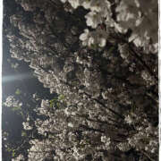 ヒメ日記 2026/04/05 06:42 投稿 りりあ 成田人妻講座