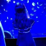 ヒメ日記 2026/03/23 18:30 投稿 いちご・SP アニバーサリー