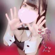 ヒメ日記 2025/06/06 11:21 投稿 らん ナイトヴィーナス