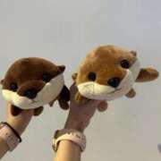 ヒメ日記 2026/06/20 06:20 投稿 あむ★S級正統派清楚美女 BEPPIN SELECTION ～べっぴんセレクション～