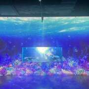 ヒメ日記 2026/07/02 05:08 投稿 あむ★S級正統派清楚美女 BEPPIN SELECTION ～べっぴんセレクション～