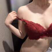 ヒメ日記 2025/10/24 23:53 投稿 じるにゃん☆魅惑のスター猫☆ 発情期限定!!即ズボ動物愛護団体