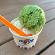 ヒメ日記 2025/06/23 12:39 投稿 しおり 沖縄素人図鑑