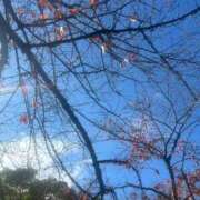 ヒメ日記 2026/01/11 15:51 投稿 しおり 沖縄素人図鑑