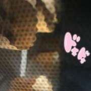 ヒメ日記 2026/02/04 19:33 投稿 しおり 沖縄素人図鑑