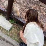 ヒメ日記 2025/10/13 03:16 投稿 めい 山梨　デリヘル No.1 『Sコレクション』 甲府