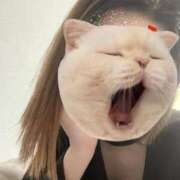 ヒメ日記 2025/02/28 22:45 投稿 とうか「とうか」 ピュアセレクラブ