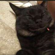 ヒメ日記 2025/07/29 23:06 投稿 きよみ　奥様 SUTEKIな奥様は好きですか?