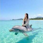 ヒメ日記 2025/11/21 14:27 投稿 きよみ　奥様 SUTEKIな奥様は好きですか?