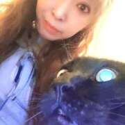 ヒメ日記 2025/11/23 16:27 投稿 きよみ　奥様 SUTEKIな奥様は好きですか?