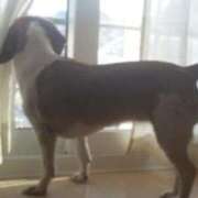 ヒメ日記 2025/12/24 19:33 投稿 きよみ　奥様 SUTEKIな奥様は好きですか?