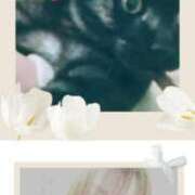 ヒメ日記 2026/03/07 21:13 投稿 きよみ　奥様 SUTEKIな奥様は好きですか?