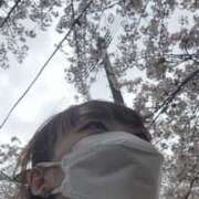 ヒメ日記 2026/04/08 10:33 投稿 きよみ　奥様 SUTEKIな奥様は好きですか?