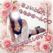 ヒメ日記 2025/02/21 22:20 投稿 ももか　奥様 SUTEKIな奥様は好きですか?