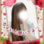 ヒメ日記 2025/03/15 19:57 投稿 ももか　奥様 SUTEKIな奥様は好きですか?