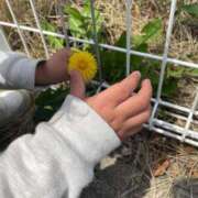 ヒメ日記 2025/04/19 12:34 投稿 ももか　奥様 SUTEKIな奥様は好きですか?