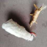 ヒメ日記 2025/04/03 14:28 投稿 リコ 人妻生レンタル