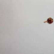 ヒメ日記 2025/04/23 13:30 投稿 リコ 人妻生レンタル