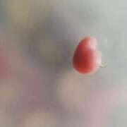 ヒメ日記 2025/06/21 14:40 投稿 リコ 人妻生レンタル