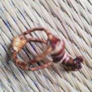 ヒメ日記 2025/07/08 14:26 投稿 リコ 人妻生レンタル