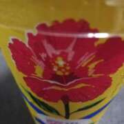 ヒメ日記 2025/07/12 14:20 投稿 リコ 人妻生レンタル