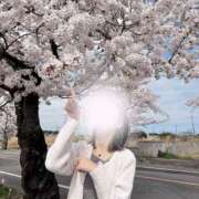 ヒメ日記 2025/04/19 08:03 投稿 りあん　奥様 SUTEKIな奥様は好きですか?