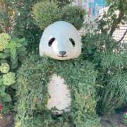 ヒメ日記 2025/08/13 11:00 投稿 りあん　奥様 SUTEKIな奥様は好きですか?