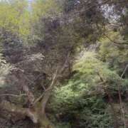 ヒメ日記 2025/10/18 11:48 投稿 りあん　奥様 SUTEKIな奥様は好きですか?