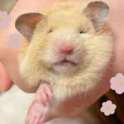 ヒメ日記 2025/02/19 22:22 投稿 NOA アイドルオーディション