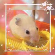 ヒメ日記 2025/02/26 00:18 投稿 NOA アイドルオーディション