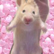 ヒメ日記 2025/03/26 02:22 投稿 NOA アイドルオーディション