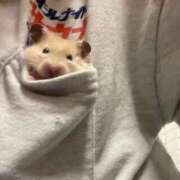 ヒメ日記 2025/06/02 19:18 投稿 NOA アイドルオーディション