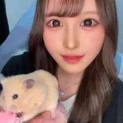 ヒメ日記 2025/12/30 09:42 投稿 NOA アイドルオーディション