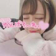 ヒメ日記 2026/02/11 10:22 投稿 NOA アイドルオーディション