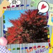 ヒメ日記 2024/12/08 10:15 投稿 せいか 新大阪秘密倶楽部