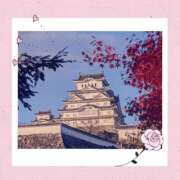 ヒメ日記 2024/12/10 10:15 投稿 せいか 新大阪秘密倶楽部