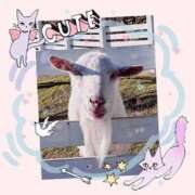 ヒメ日記 2024/12/12 11:15 投稿 せいか 新大阪秘密倶楽部