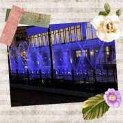 ヒメ日記 2025/01/13 11:15 投稿 せいか 新大阪秘密倶楽部