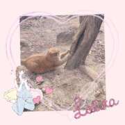 ヒメ日記 2025/01/31 22:25 投稿 せいか 新大阪秘密倶楽部