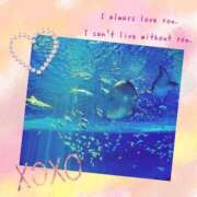 ヒメ日記 2025/02/15 11:25 投稿 せいか 新大阪秘密倶楽部