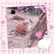 ヒメ日記 2025/02/22 11:15 投稿 せいか 新大阪秘密倶楽部