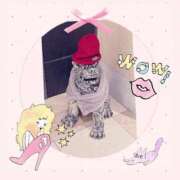 ヒメ日記 2025/03/09 11:15 投稿 せいか 新大阪秘密倶楽部