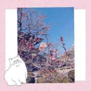 ヒメ日記 2025/03/13 11:15 投稿 せいか 新大阪秘密倶楽部