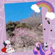 ヒメ日記 2025/03/18 11:25 投稿 せいか 新大阪秘密倶楽部