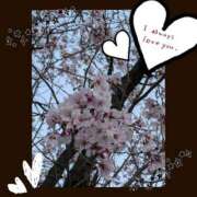 ヒメ日記 2025/04/01 10:35 投稿 せいか 新大阪秘密倶楽部