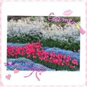 ヒメ日記 2025/04/06 23:25 投稿 せいか 新大阪秘密倶楽部