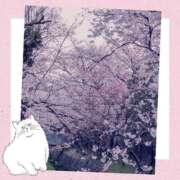 ヒメ日記 2025/04/08 10:15 投稿 せいか 新大阪秘密倶楽部