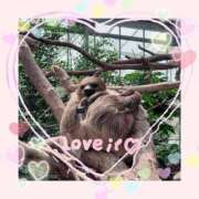 ヒメ日記 2025/04/11 11:15 投稿 せいか 新大阪秘密倶楽部